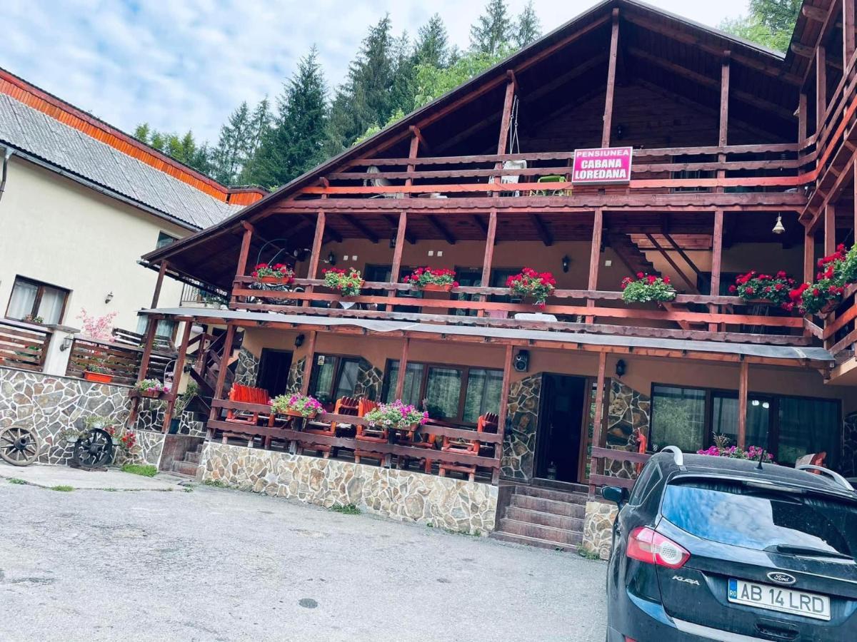 Cabana Loredana Vadu Motilor Esterno foto